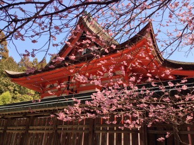 BG1003 Japońska świątynia