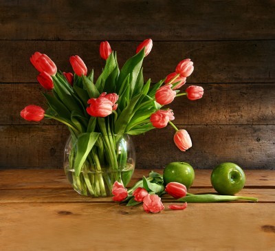 BG1047 Czerowne tulipany