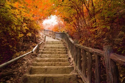 BG1083 Jesienny spacer po schodach