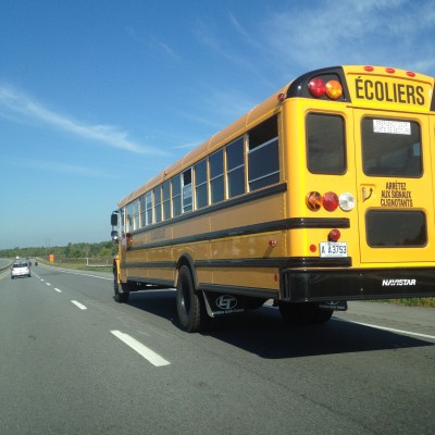BG1478 Żółty Schoolbus