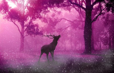 Jeleń w magicznym lesie