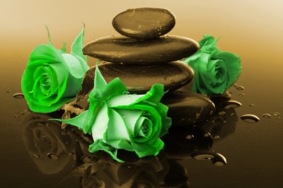 BG1723 Zielone róż w brązowej kompozycji