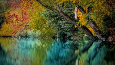 Jesienny krajobraz z rzeką