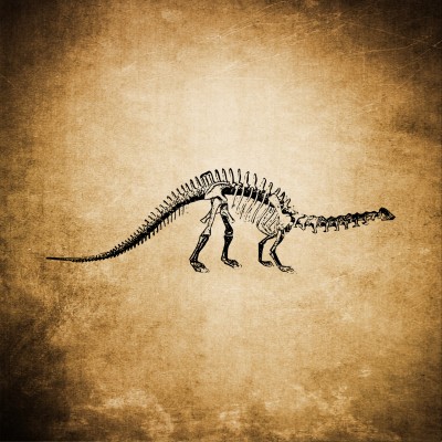 Dinozaur na ścianie
