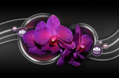 BG581_Fioletowa_orchidea