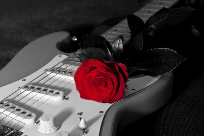 BG630 Gitara elektryczna z różyczką