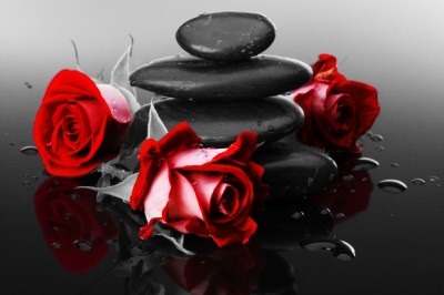 Czerwone róże na kamieniach